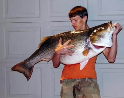 Nc fresh water striped bass fishing Messages all nc fresh water striped bass fishing regret